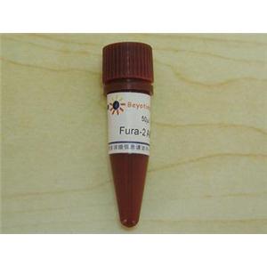 Fura-2 AM (钙离子荧光探针, 2mM)
