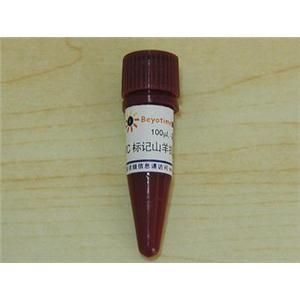 FITC标记山羊抗兔IgG(H+L)