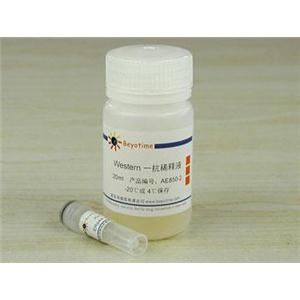 ERp44抗体(羊多抗)