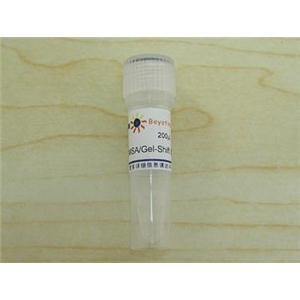 EMSA/Gel-Shift 结合缓冲液(5X)