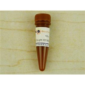 Dylight 405标记山羊抗兔IgG(H+L)