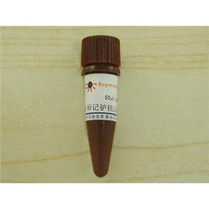 Cy3标记驴抗山羊IgG(H+L)