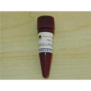 Cy3标记山羊抗大鼠IgG(H+L)