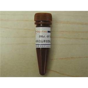 AMCA标记山羊抗兔IgG(H+L)