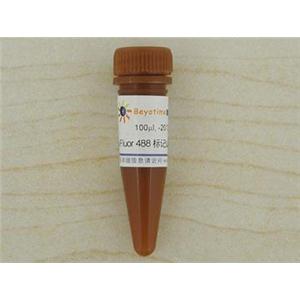 Alexa Fluor 488标记山羊抗小鼠IgG(H+L)