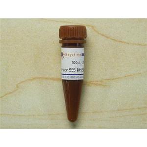 Alexa Fluor 555标记驴抗兔IgG(H+L)