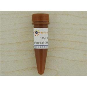 Alexa Fluor 647标记山羊抗小鼠IgG(H+L)