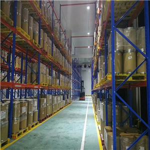 1,1-环己基二乙酸 4355-11-7 纯粉高纯度生产厂家