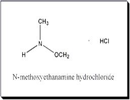 N-甲基-N-甲氧基胺盐酸