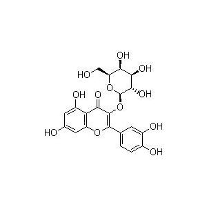 金丝桃苷；槲皮素-3-O-β-D-吡喃半乳糖苷