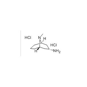 内向-9-甲基-9-氮杂双环[3,3,1]壬烷-3-胺盐酸盐；高托品烷胺盐酸盐