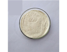 黄芩提取物(黄芩苷/甙)