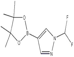 1-(二氟甲基)-4-(4,4,5,5-四甲基-1,3,2-二氧硼杂环戊烷-2-基)-1H-吡唑