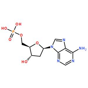 2′-脱氧腺苷-5′-单磷酸