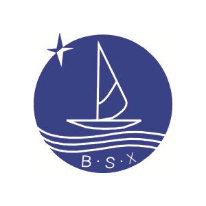 Nε-CBZ-L-赖氨酸苄酯盐酸盐