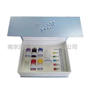 小鼠抗利尿激素/血管加压素/精氨酸加压素(ADH/VP/AVP)ELISA KIT