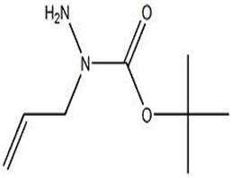 1-烯丙基肼甲酸叔丁酯