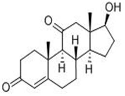 11 -酮睾酮