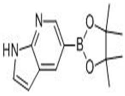 7-氮杂吲哚-5-硼酸频哪醇酯