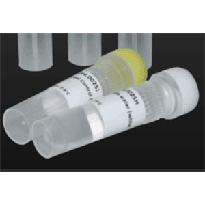 他克莫司8-丙基类似物