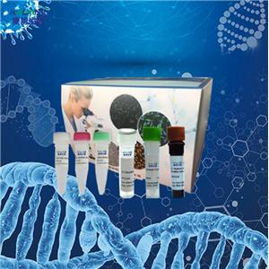 番泻叶PCR鉴定试剂盒