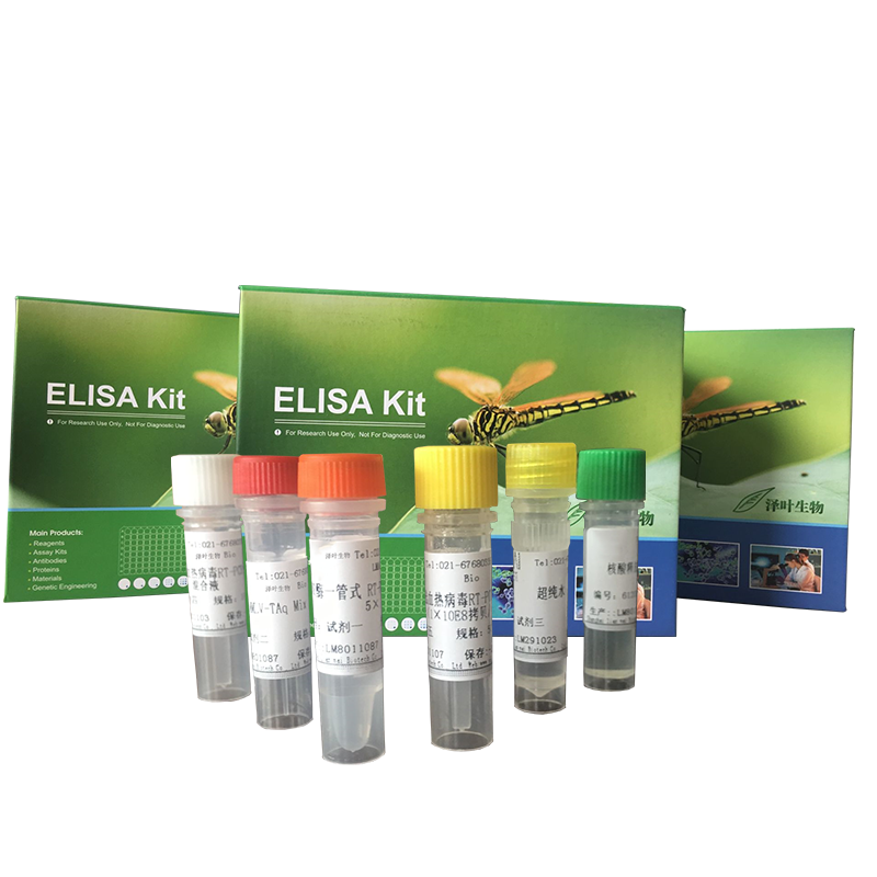 化橘红染料法PCR鉴定试剂盒