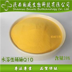 水溶性辅酶 辅酶Q10