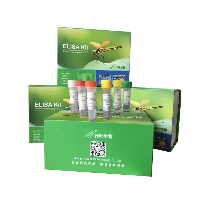 苦参染料法PCR鉴定试剂盒