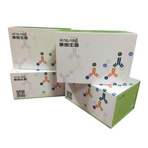 人增殖标记物Ki-67酶联免疫试剂盒