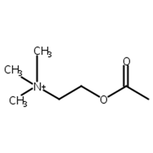 乙酰胆碱