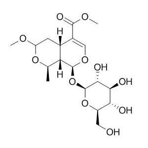7-O-甲氧基莫诺苷;7-O-Methyl morroniside;CAS:41679-97-4