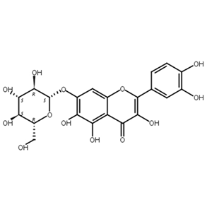 槲皮万寿菊素-7-O-β-吡喃葡萄糖苷