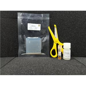 琼脂糖预制胶电泳试剂盒 产品图片