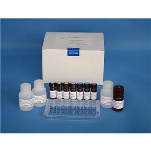 人免疫球蛋白E Fc段受体Ⅱ(FcεRⅡ/CD23)ELISA试剂盒