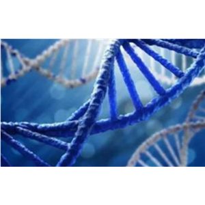 GSK-3α/β抑制剂(CHIR-99021)