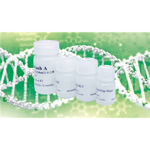 DNA连接酶抑制剂(L67)