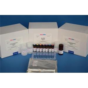 人CX3C趋化因子受体1(CX3CR1)ELISA试剂盒