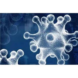 核苷酸逆转录酶抑制剂(Tenofovir Disoproxil)