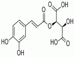 单咖啡酰洒石酸