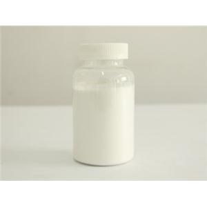 小白菊提取物/小白菊内酯