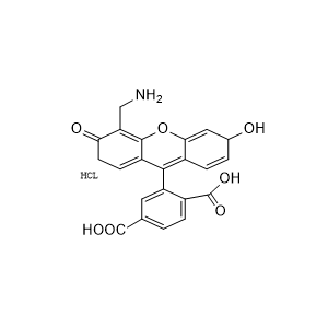 4'-氨甲基-6-羧基荧光素 4'-氨甲基-3',6'-二羟基-3-氧代螺[异苯并呋喃-1(3H),9'-[9H]吨]-5-羧酸