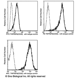 FITC标记的CD30抗体