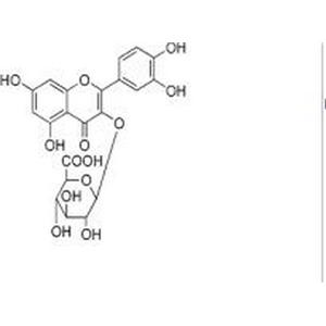 槲皮素-3-O-β-D-吡喃葡糖苷酸