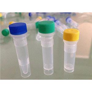 辣根过氧化物酶标记兔抗羊IGG