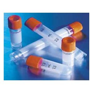 BCL2 BETA蛋白抗体