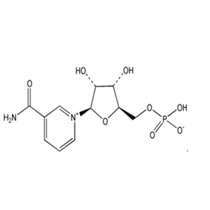 β-烟酰胺单核苷酸