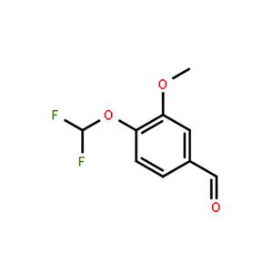 4-二氟甲氧基-3-甲氧基苯甲醛