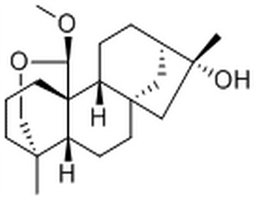 16α-Hydroxy-19,20-epoxy-20β-methoxy-ent-kaurane