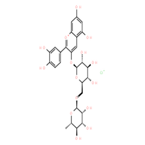 氯化失车菊素-3-O-芸香糖苷