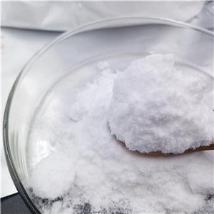 利多卡因盐酸盐